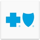 BlueCross BlueShield
